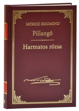 Móricz Zsigmond prózai művei - 2. kötet, Pillangó -  Harmatos Rózsa