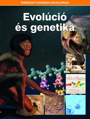 Borítókép: Természettudományi enciklopédia 6. kötet - Evolúció és genetika