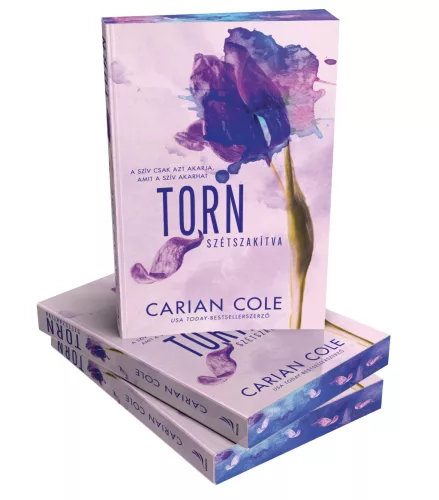Carian Cole - Torn – Szétszakítva (éldekorált kiadás) - All Torn Up