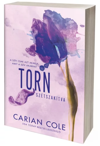 Torn – Szétszakítva (NEM éldekorált kiadás)
