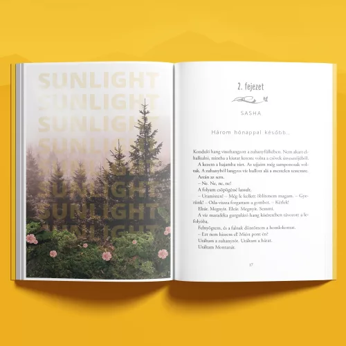 Sunlight – Napfény (éldekorált kiadás) + Page Overlay (Áttetsző print)