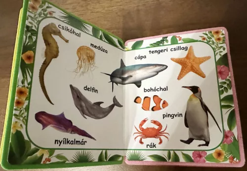 Ismerd meg az állatokat!