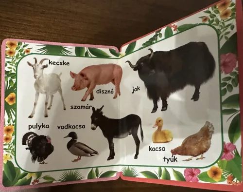 Ismerd meg az állatokat!