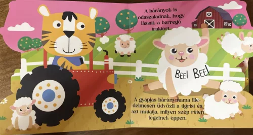 Szimba a tanyára látogat