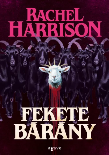 Fekete bárány