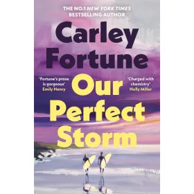 Carley Fortune - Our Perfect Storm
