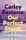 Carley Fortune - Our Perfect Storm
