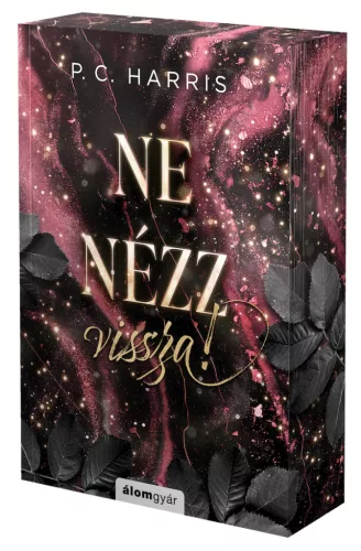 Ne nézz vissza!
