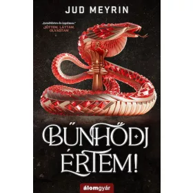 Bűnhődj értem!