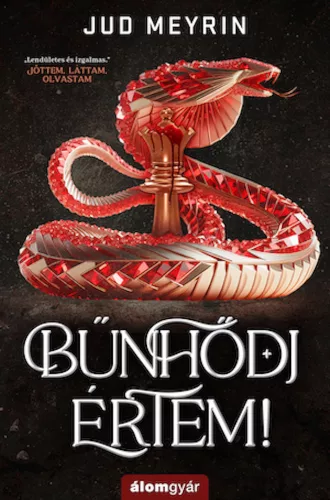Bűnhődj értem!