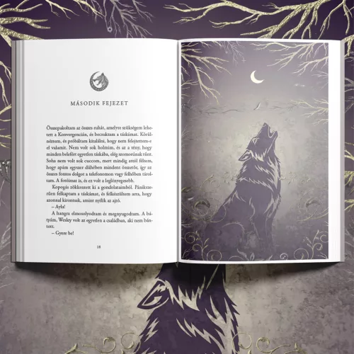 Elizabeth Briggs - Moon Touched – A Hold érintése (NEM éldekorált kiadás) + Page Overlay (Áttetsző print) - Zodiákus Farkasok
